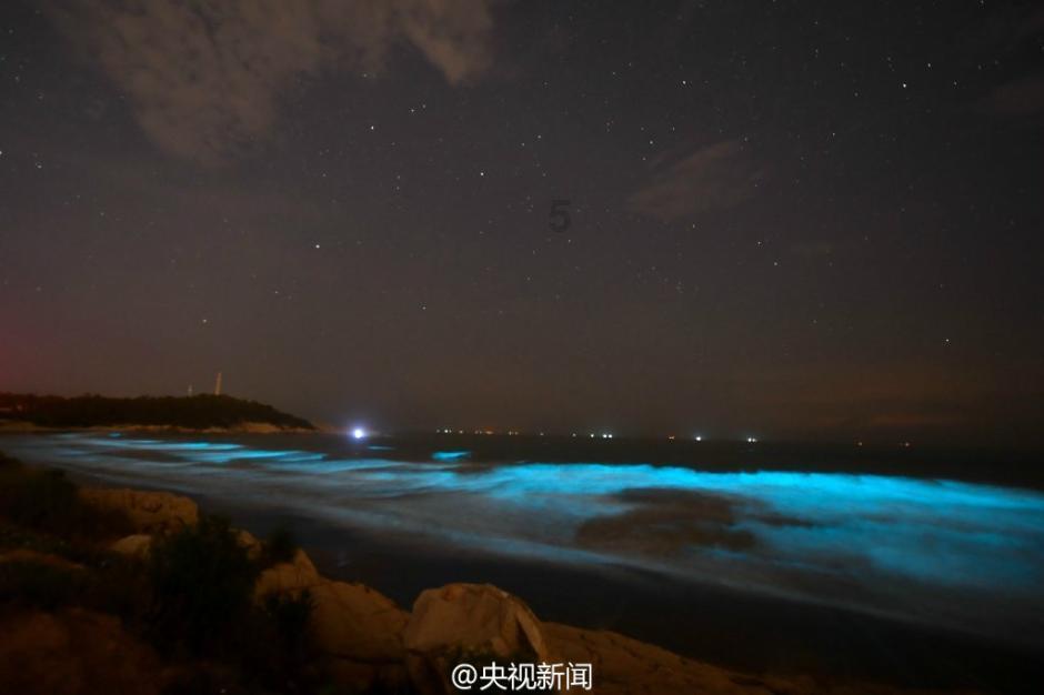 细胞分裂4